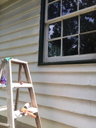 18th Jun 2019 - I replaced 2 window panes