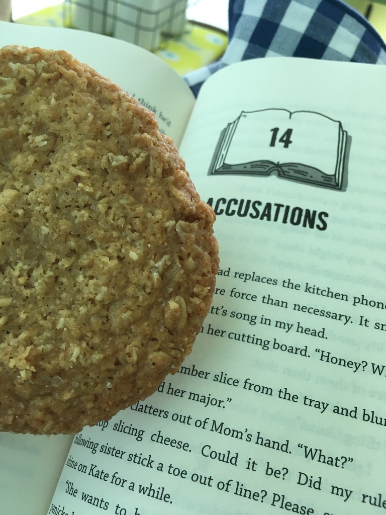 cookie and a book  by wiesnerbeth