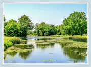 2nd Jul 2019 - Lake and Reflections,Stowe Gardens