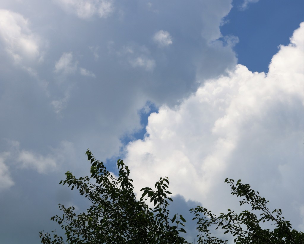 July 2: Summer Clouds by daisymiller