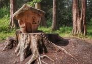27th Jun 2019 - The house in the woods