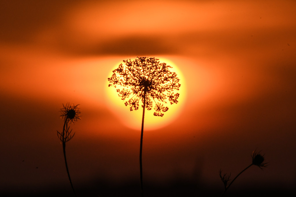 Surrounded by Light by kareenking