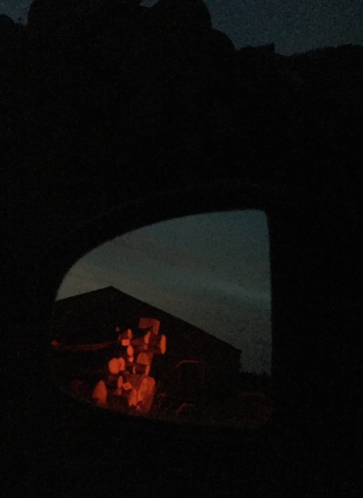 Woodpile as seen in side view mirror lit by brake lights by mcsiegle