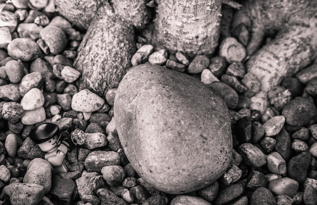(Day 138) - Rockbed by cjphoto