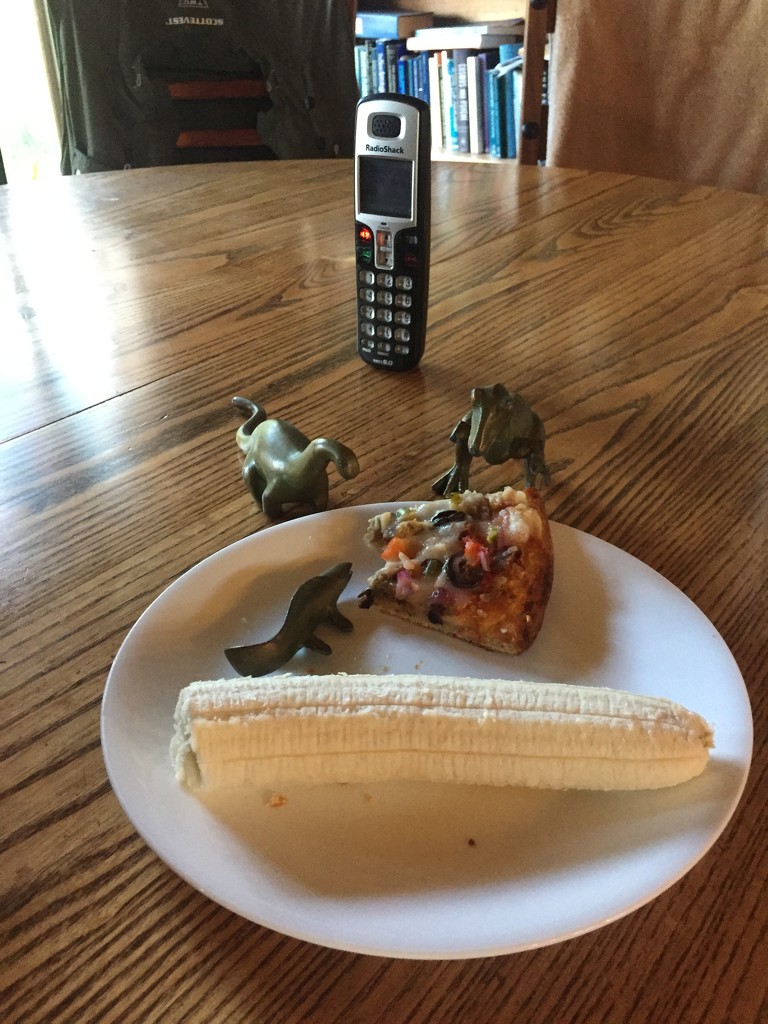 I share my pizza with the dinosaurs by mcsiegle