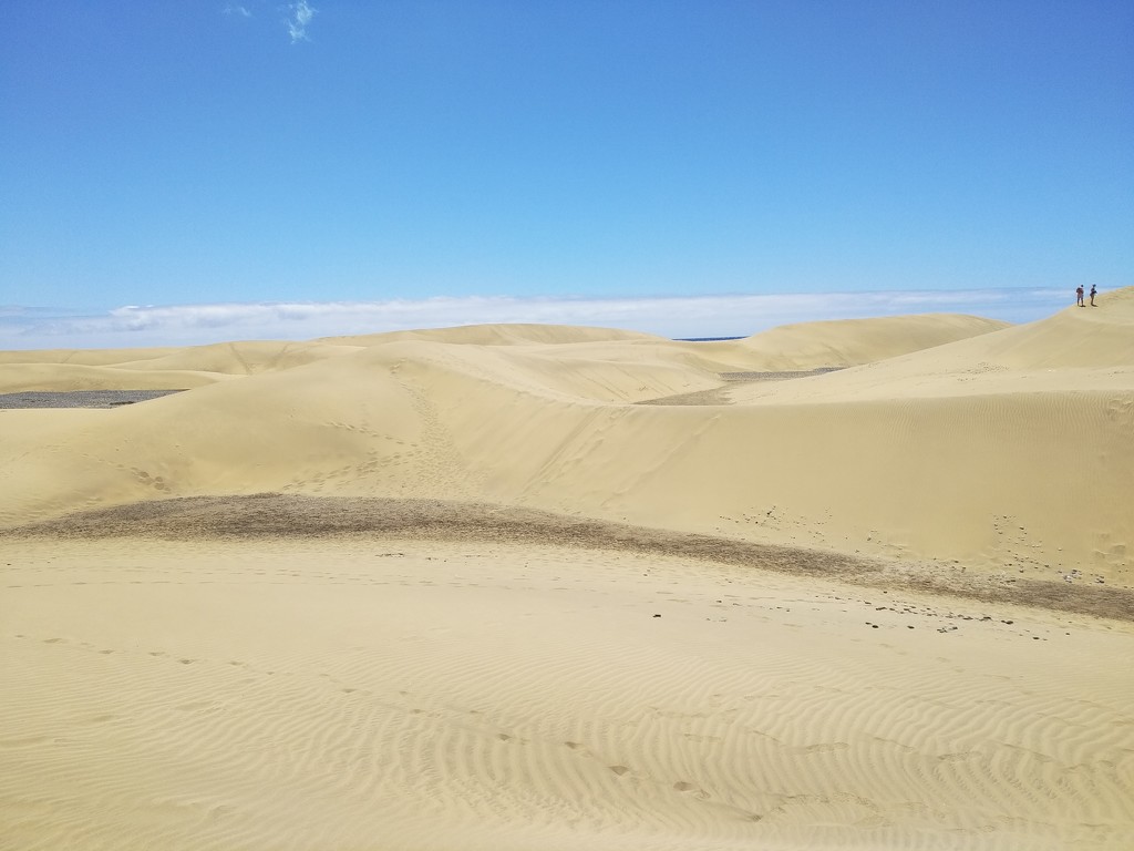 Amazing dunes by brennieb