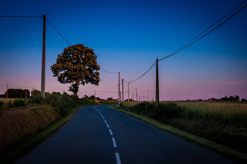 The road south from Vignouse at dusk... by vignouse