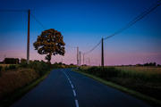4th Jul 2019 - The road south from Vignouse at dusk...