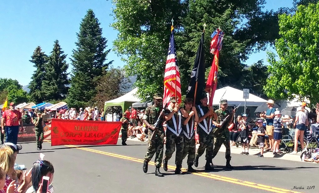 Fourth of July Parade by harbie