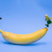 (Day 141) - Banana HalfPipe by cjphoto