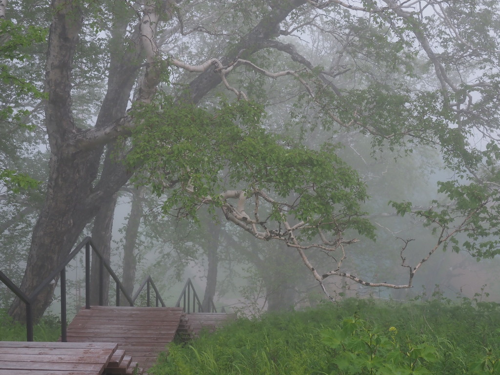 Stairway of Foggy Thoughts by phmlq