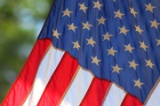4th Jul 2019 - Stars and Stripes Forever