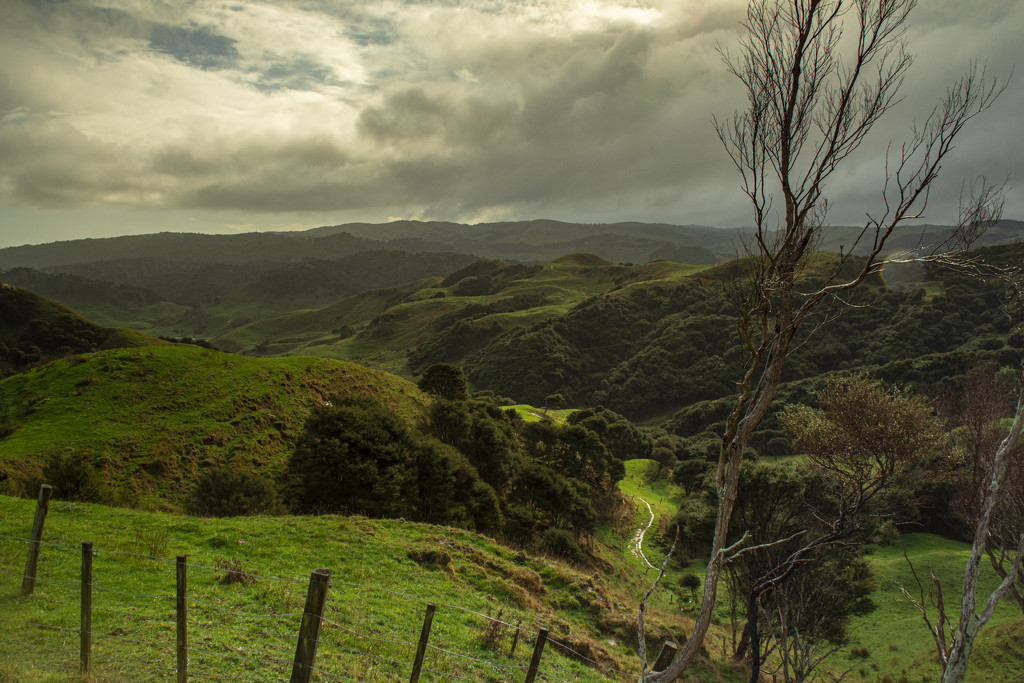 I wonder where the path leads? by nickspicsnz