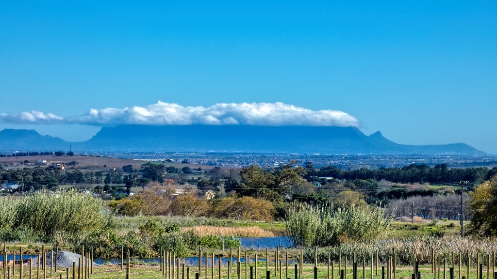 Table Mountain with it's Tablecloth. by ludwigsdiana