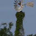 The Windmill and the Ivy by kareenking