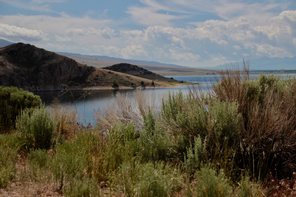 Clark Canyon Reservoir #5 by jetr