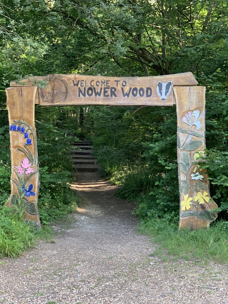 Nower Wood by mattjcuk