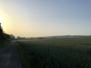 26th Jun 2019 - Haze over the fields before a hot day