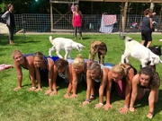 6th Jul 2019 - Baby Goat Yoga