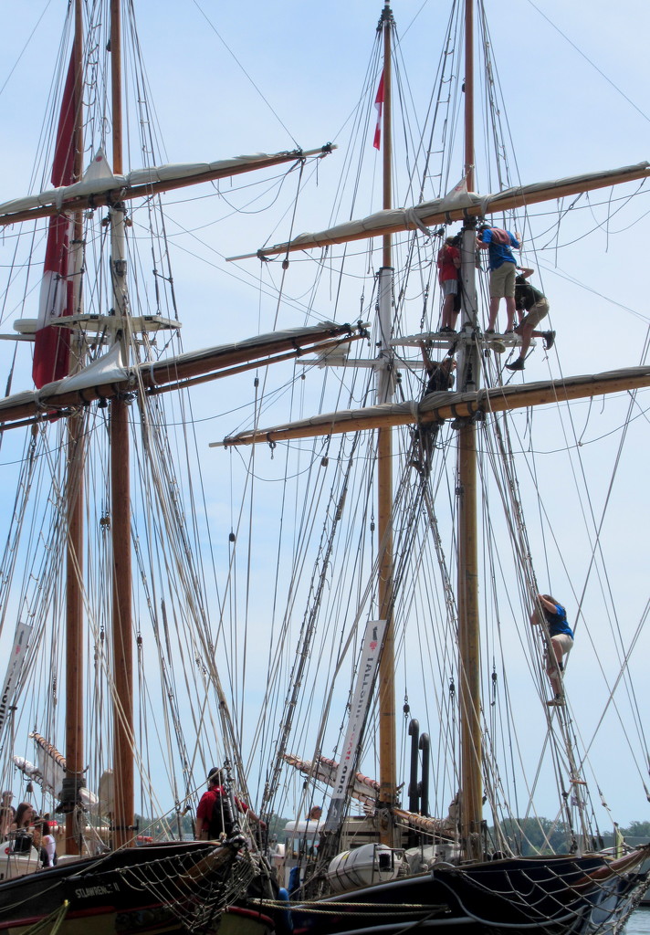Rigging climbing on a Tall Ship by bruni
