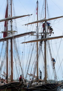 6th Jul 2019 - Rigging climbing on a Tall Ship