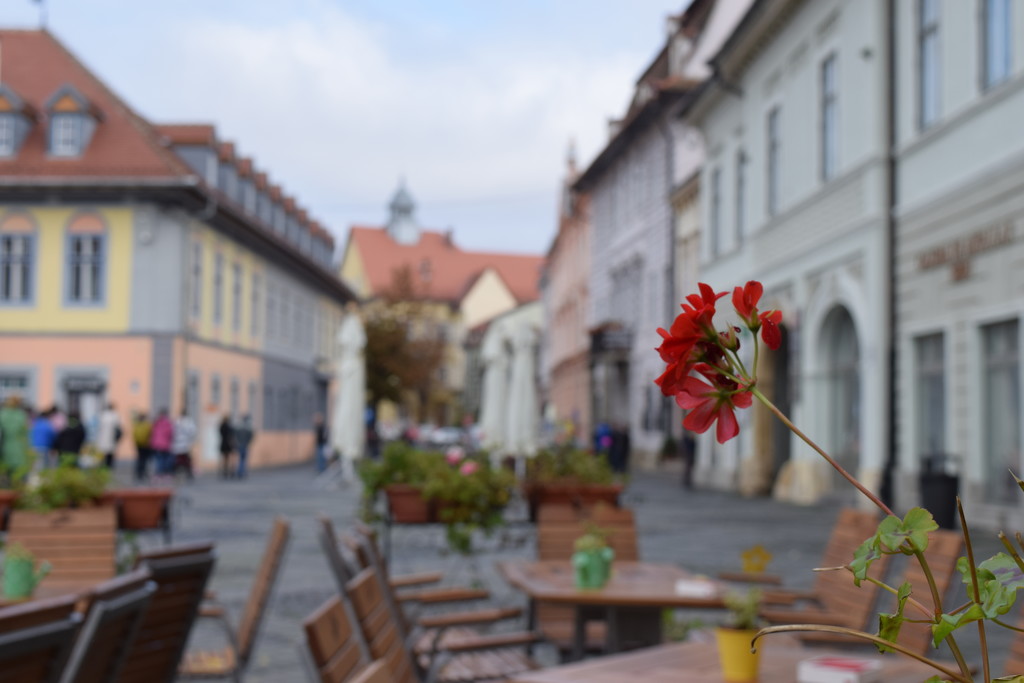 Sibiu by ctst