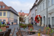 22nd Oct 2016 - Sibiu