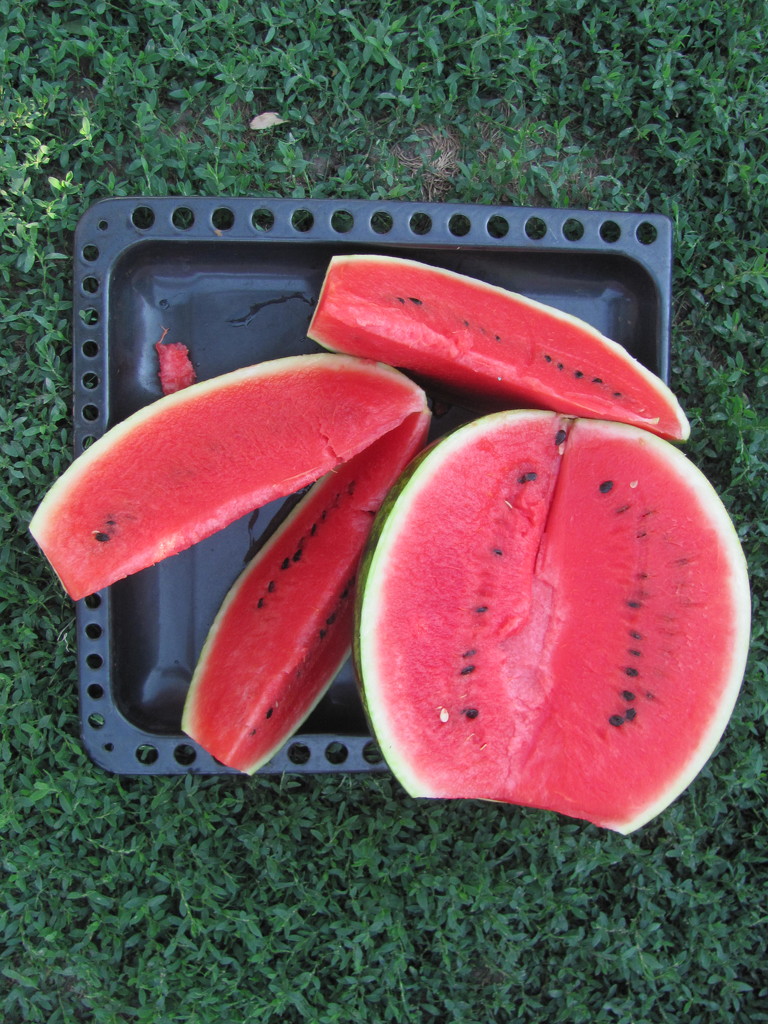 Watermelon by ctst