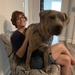85 pound lap dog by graceratliff