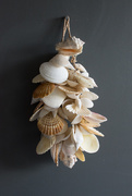 6th Jul 2019 - seashells