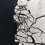 7th Jul 2019 - Cracked Paint