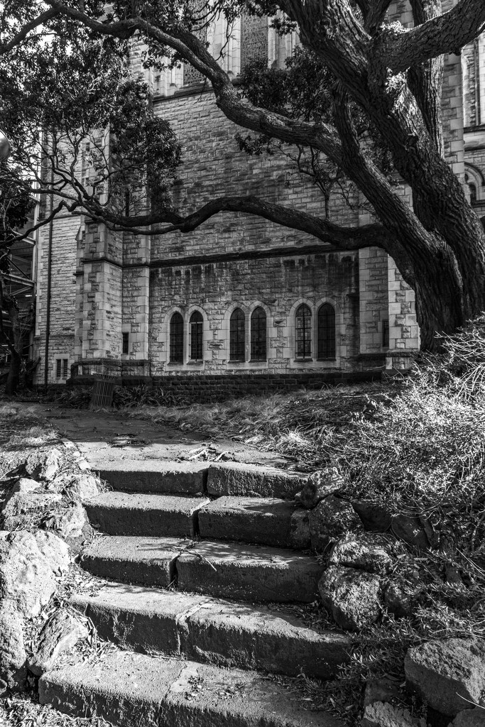 Church Steps by nickspicsnz