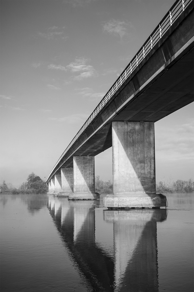 Rangiriri Bridge Architecture by nickspicsnz