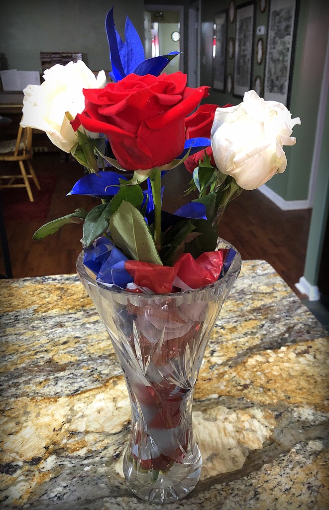 Red, White and Blue flowers by homeschoolmom