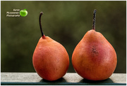 8th Jul 2019 - Red pair of pears