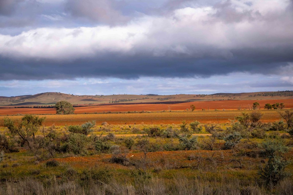 Colours of the Flinders Ranges by pusspup