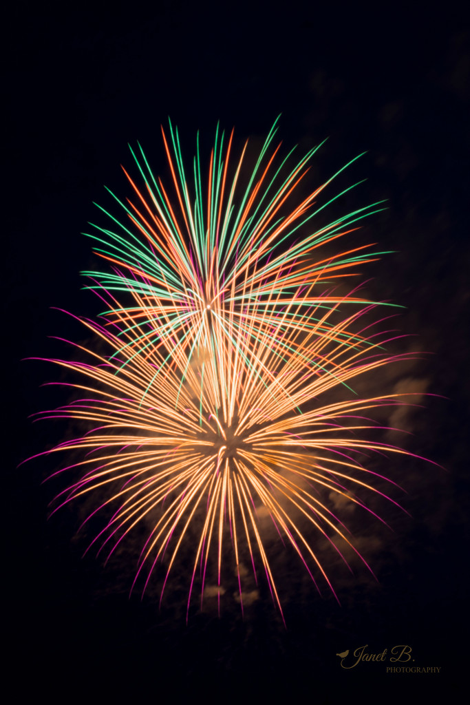 Fireworks by janetb