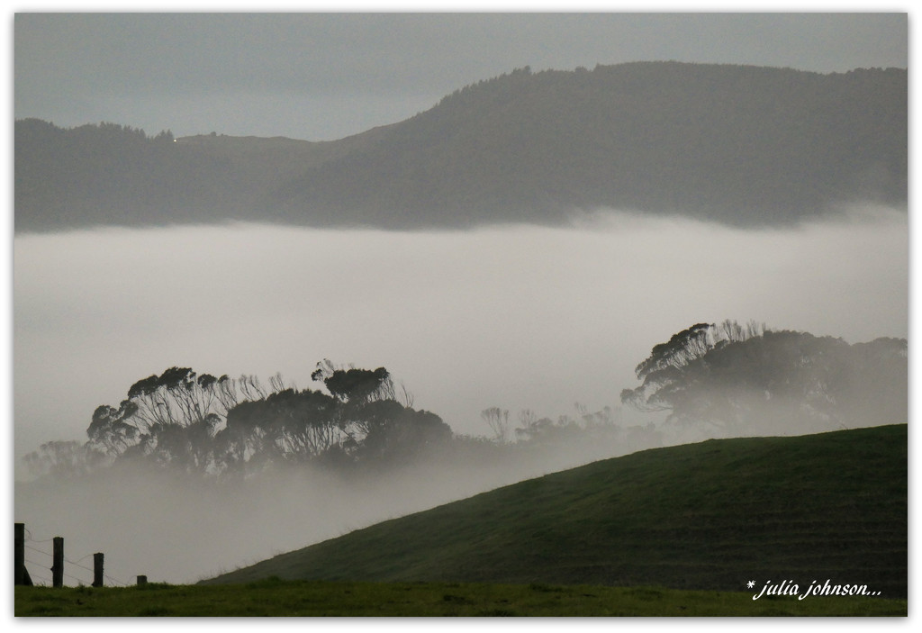 Misty Hills.. by julzmaioro