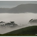 Misty Hills.. by julzmaioro