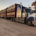 Road train by pusspup