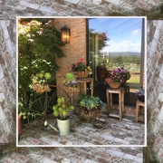 9th Jul 2019 - View from the Nursery