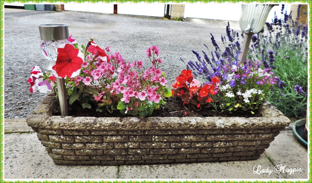 Floral Trough with Solar Lighting by ladymagpie
