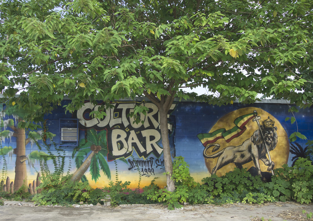 Culture Bar:  Jammin' since 1999 by eudora