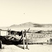 The Wreck at Langebaan Yacht Club by seacreature