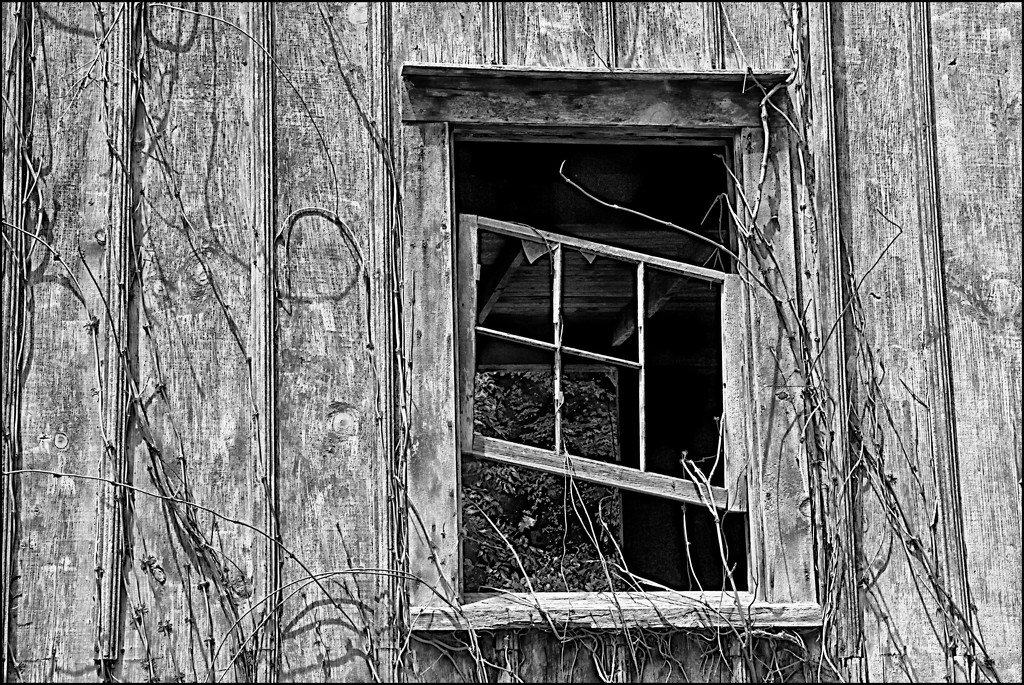 Slanted Window by olivetreeann