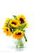sunflower by summerfield