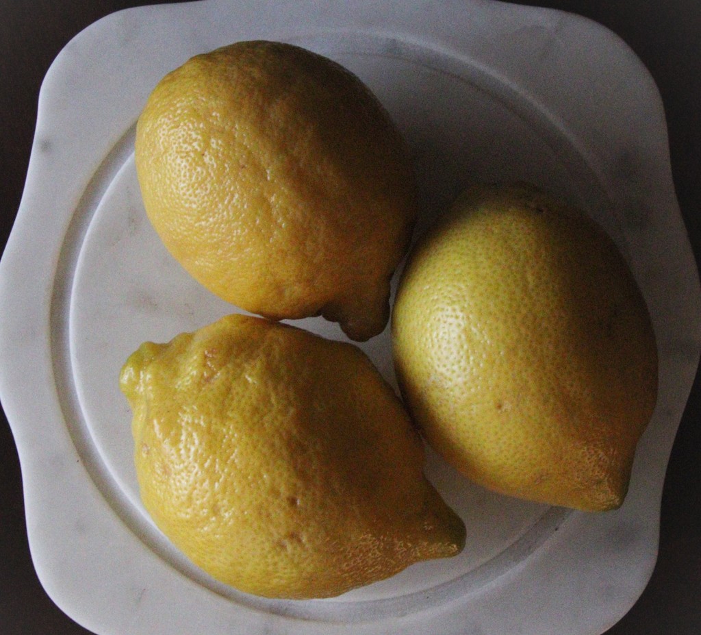 Day 190:  Life Has Given Lemons by sheilalorson