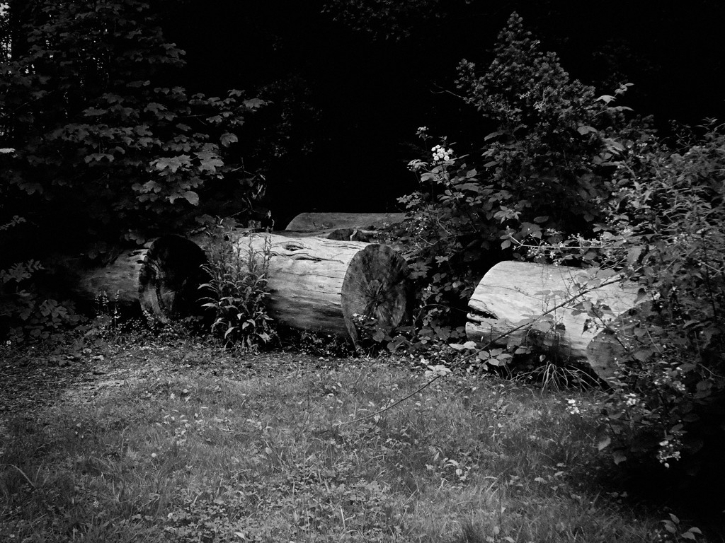 Logs by allsop
