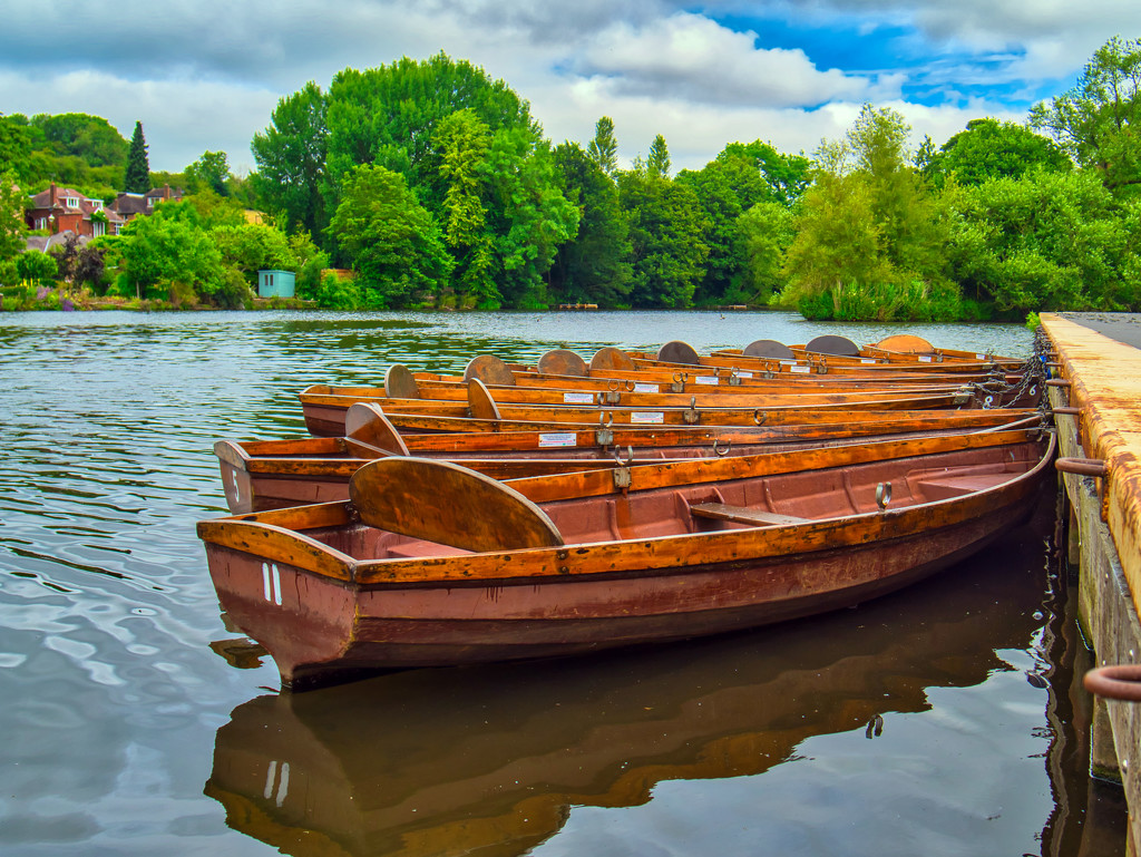 Rowboats  by tonygig
