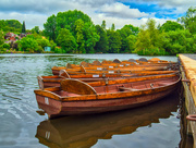 10th Jul 2019 - Rowboats 